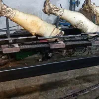 دستگاه کز کله پاچه