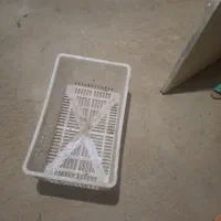 سبد گوجه فرنگی مواد اول|عمدهفروشی|قیدار, |دیوار