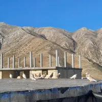 یه بوم ۲۰تایی