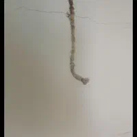 شرکت سم پاشی و موریانه زدایی (آسایش) با مجوز رسمی|خدمات نظافت|پلدختر, |دیوار