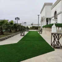 پخش عمده و خورده چمن|خدمات باغبانی و درختکاری|کرج, کمال‌شهر|دیوار