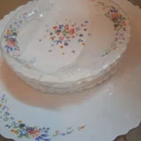 سرویس چینی آرکوپال . ۲۵ پارچه