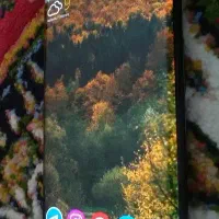 Daria bond|موبایل|رشت, پیرسرا|دیوار