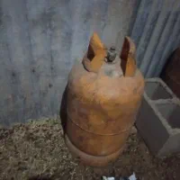 گاز