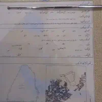زمین-تک-برگ-سند