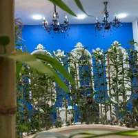 وکس و اصلاح ابروکار حرفه ای