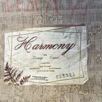 میز جلو مبلی و قالی