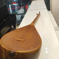 دو تار و تنبور|سازهای سنتی|ساری, |دیوار