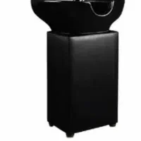 سرشورایستاده