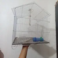 قفس پرنده|لوازم جانبی حیوانات|بندرعباس, |دیوار
