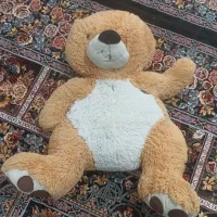 خرس بزرگ