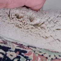 فرش ۱۲متری تمام نخ ۷۰۰شانه بخاری گازی|فرش|گلبهار, شهر جدید گلبهار|دیوار