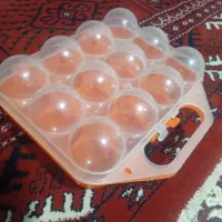 ظروف غذا و جا تخم مرغی|ظروف نگهدارنده، پلاستیکی، یک‌بارمصرف|گنبد کاووس, |دیوار