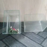 آکواریم چهار عدد سالم