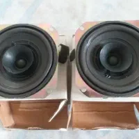 بلندگو ۲۵ وات ۲ عددی
