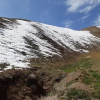 علف برای دام داران