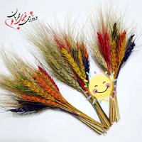 کافی نت پاییز|خدمات رایانهای و موبایل|هشتگرد, |دیوار