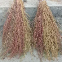 جارو دسته ای ۱۰۰