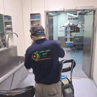 خدمات تخصصی سم پاشی و طعمه گذاری تضمینی