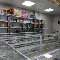 اسباب بازی و لوازم تحریر با قیمت استثنائی و پرینت