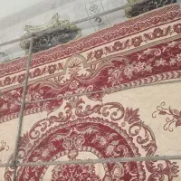 طور بوم کفتر