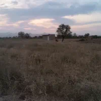 یک هکتار زمین کشاورزی همراه با آب قطره‌ای|فروش دفتر صنعتی، کشاورزی، تجاری|تاکستان, |دیوار