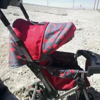 کالسکه خوش رنگ سالم. دو طرفه