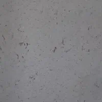 استا گچکار