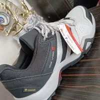 کفش|کیف، کفش، کمربند|کرمان, |دیوار