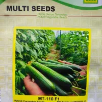 بذر خیار مولتی ۱۱۰ MT110