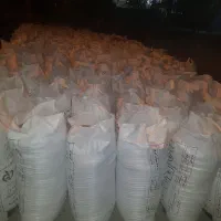 جو خارجی|خدمات باغبانی و درختکاری|بروجرد, |دیوار