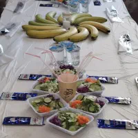 کاروان زیارتی انصارالمهدی (عج)کربلا فقط با12/500|تور و چارتر|کاشمر, |دیوار