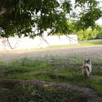 کاربری-کارگاهی-و-صنعتی