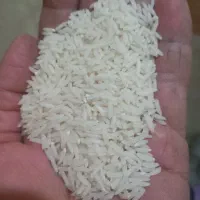 ۲۵۰ کیلو هاشمی ،سورتینگ شده