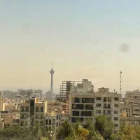 مرزداران - گلدیس -  ۲۰۰ متر ۳ ساله