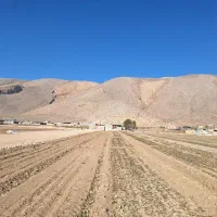 فروش ۱ هکتار زمین کشاورزی|فروش دفتر صنعتی، کشاورزی، تجاری|مرودشت, مجد آباد|دیوار