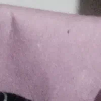 موکت