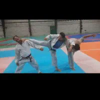 یین یانگ دو