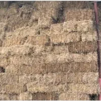 سرچینا (کاه پرس شده برنج)