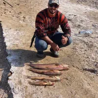 اموزش طبیعت گردی و ماهیگیری|ماهیگیری|مشهد, سجاد شهر|دیوار