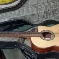 گیتار پیکاپدار حرفه ای