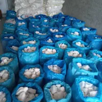 فروش نمک چشمه