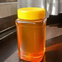 عسل مرغوب کوهستان های سراب