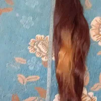 فروش مو|آرایشی، بهداشتی، درمانی|لامرد, |دیوار