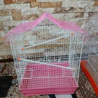 قفس های پرنده نو