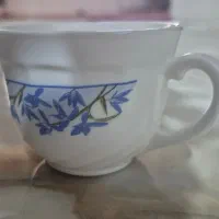 فنجان اصل فرانسه