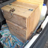 فروش طوطی دست آموز|پرنده|بندر انزلی, عباس آباد|دیوار