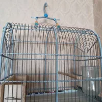 قفس دستبافت سهره نو