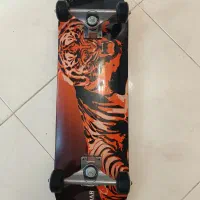 اسکیت برد حرفه ای