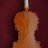 ویولن خوش رنگ TF student mode 4/4|ویولن|اصفهان, تخت فولاد|دیوار